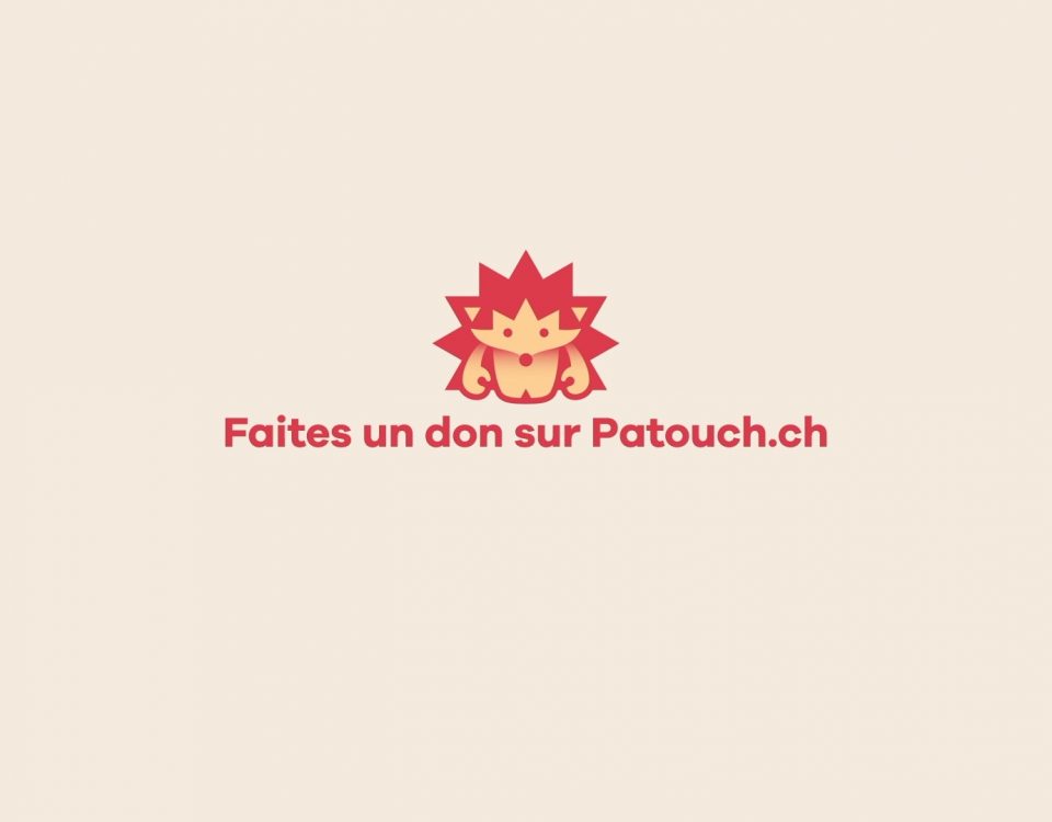 Patouch_Une